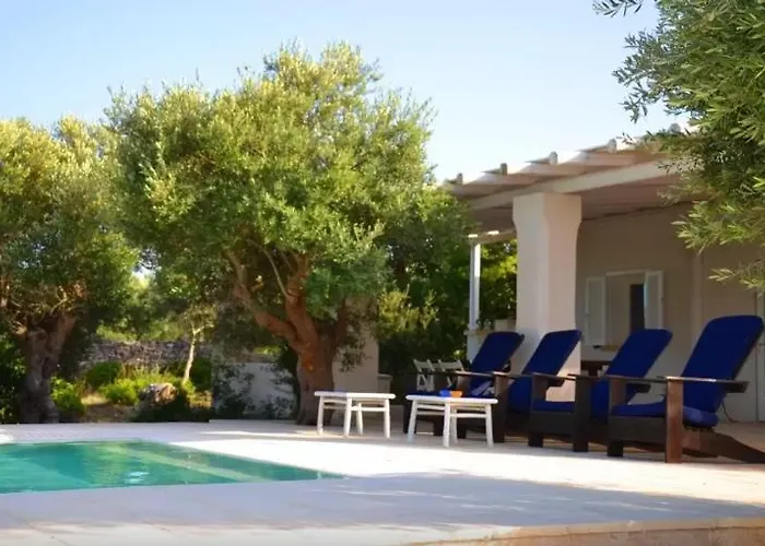 فيلة مع مسبح لا متناهي