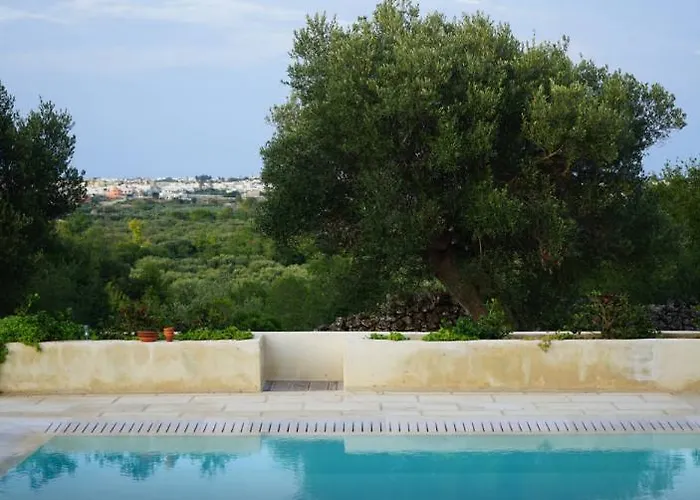 مع مسبح لا متناهي فيلة *