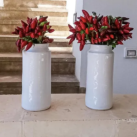 别墅 Infinity Pool *