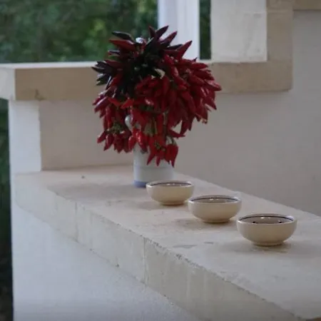 Βίλα Infinity Pool