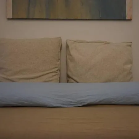 Infinity Pool 别墅 *