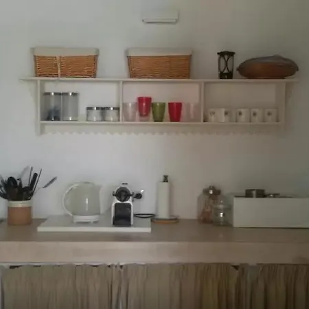 Infinity Pool 莱乌卡