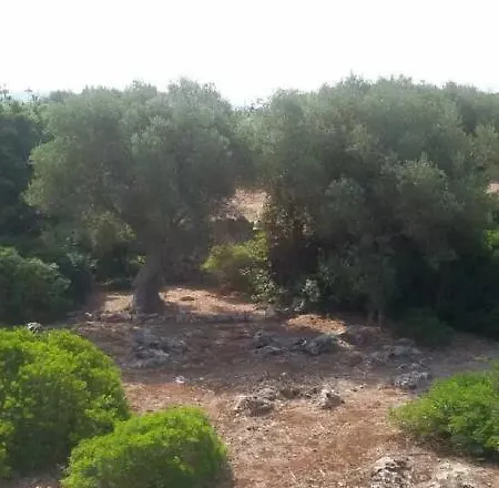 Infinity Pool Βίλα *