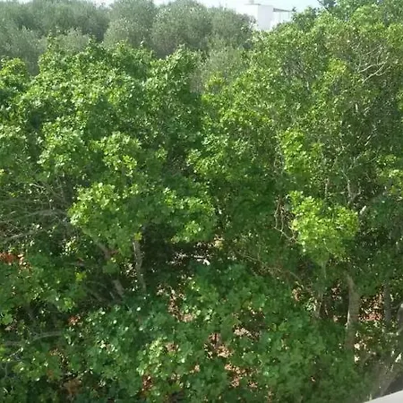 Βίλα Infinity Pool Santa Maria di Leuca