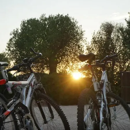 Infinity Pool 别墅