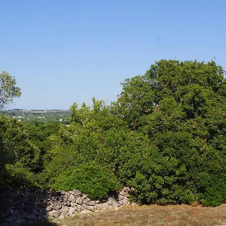 Infinity Pool 别墅